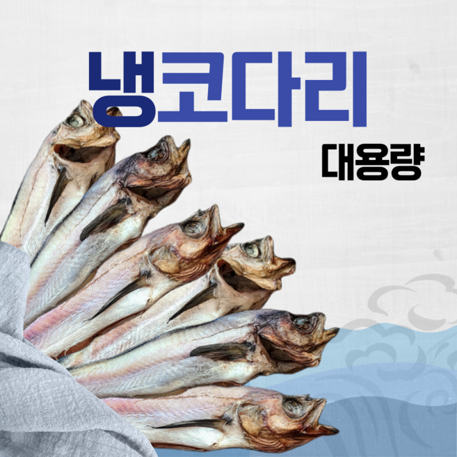 속초 대용량 업소용 냉코다리 13kg, 40개, 특대