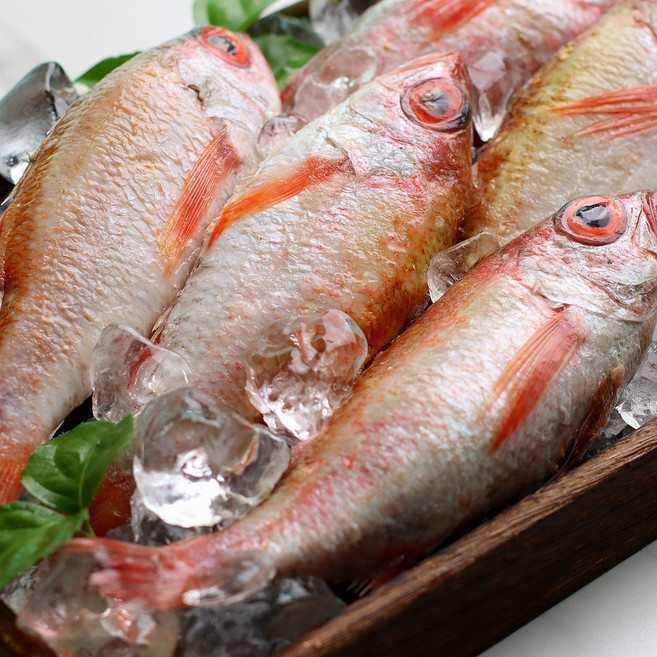 생선계의 황태자 부산 공동어시장 경매후 급냉 자연산 손질 금태 눈볼대 빨간고기 아까무스, 2개, 180-230g내외(원물)