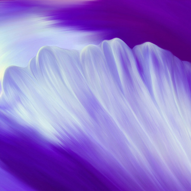 [CPL 영국] 프래그런스 오일 화이트 머스크 WHITE MUSK 20ml/50ml/100ml, 20ml, 1개, 20ml