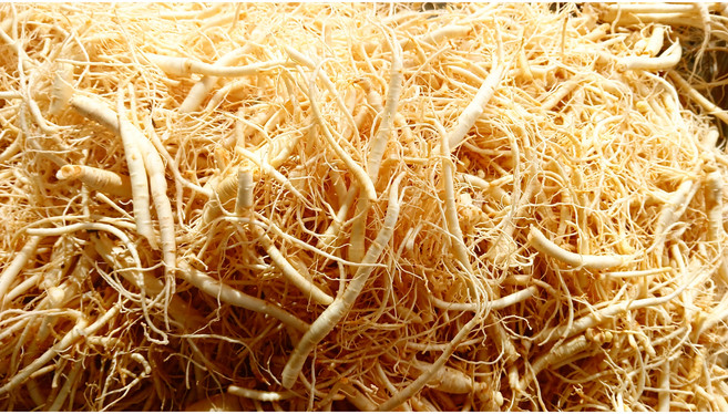 금산 인삼 파삼 미삼 인삼뿌리 1kg 세척 수삼 국내산, 세척원하지않아요(X), 1개