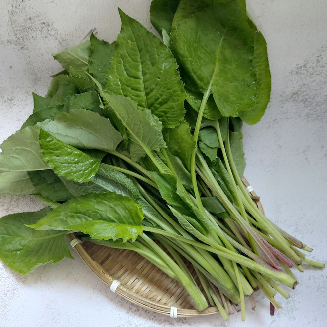 (신선집중) 강원도 정선 곤드레나물 생곤드레, 1개, 4kg