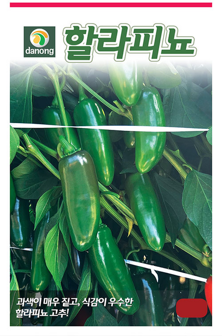 [주주씨앗] 할라피뇨 고추 씨앗 30립 / 과색이 짙은 매운고추 종자 / 과채류 채소씨앗 씨앗몰, 1개