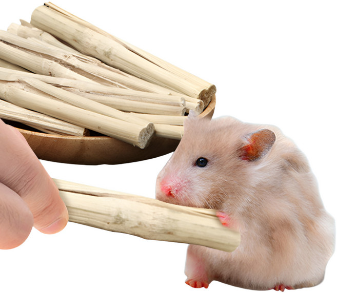 (best) 햄스터 yee 스틱형 사탕수수 이갈이 간식 슈가글라이더 기니피그 다람쥐 친칠라, 1개, 100g