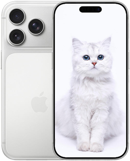 AIP 17 프로 새상품 미개봉, 512GB, 실버 아이폰 17 Pro