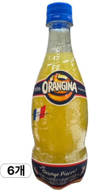 롯데칠성음료 오랑지나, 420ml, 6개