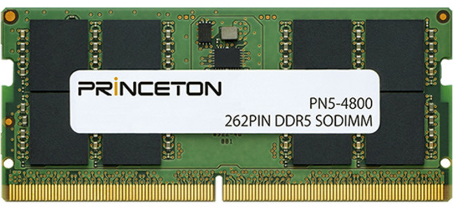 普林斯頓 筆記型電腦記憶體 16GB, 1個, PN5-4800