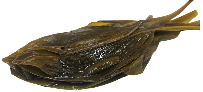 산들아리 정선 고랭지에서 자란 향긋한 잎명이 명이나물 장아찌 2.8kg, 2개