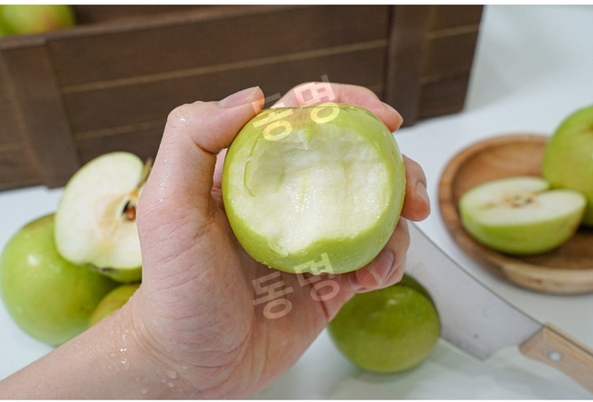 프룻낙원 아오리 청사과 가정용 중소과 못난이 사과, 2kg (12-14과 내외)