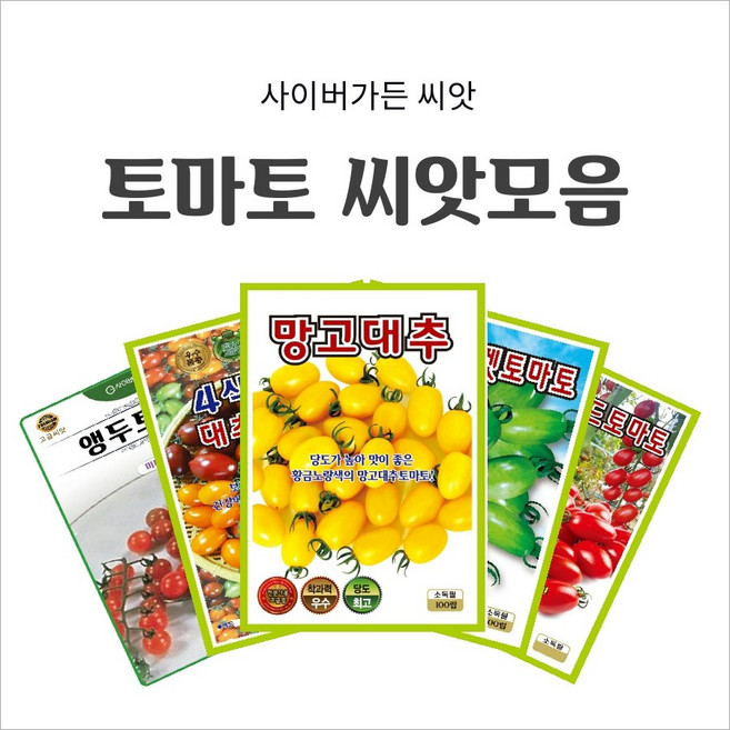 주말농장 건강채소 희귀채소 텃밭채소 베란다 발코니 옥상정원, 11. 토마토 홍일품토마토  100립, 1개