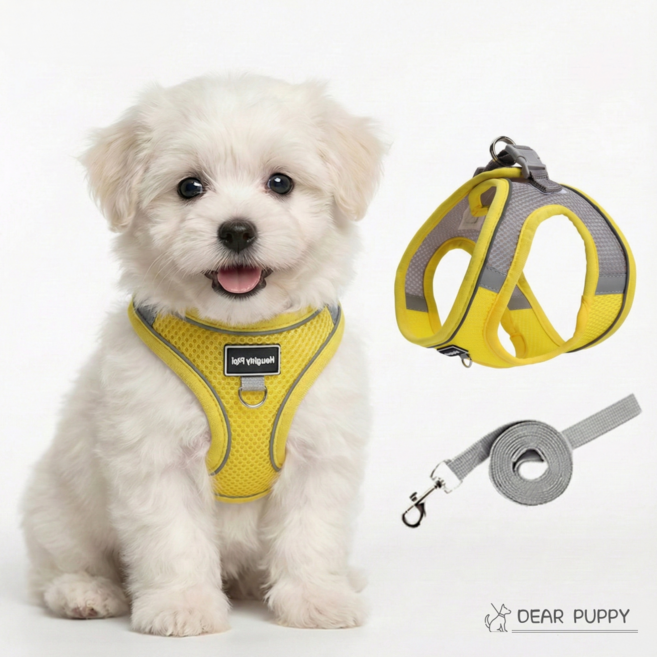 디어퍼피 쿨매쉬 강아지 고양이 겸용 하네스 + 리드줄 세트, 썬샤인옐로우