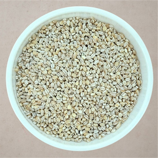 [다온농산] 2025년산 국산 겉보리쌀 -5Kg- 옛 보리밥 미숫가루 장, 5kg, 1개