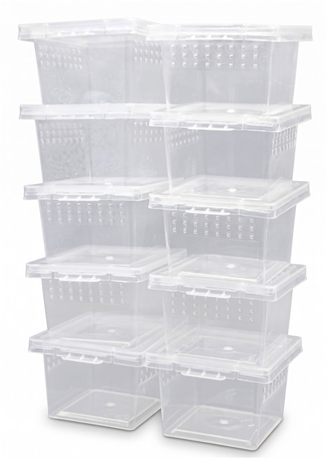 코코넷 미니 케이지, 10개