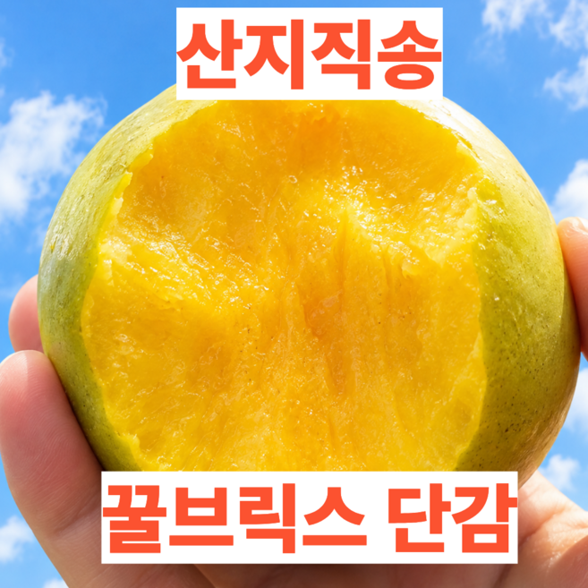 7위 - [최대 18brix] 고당도 햇 국산 햇 단감, 1박스, 10kg