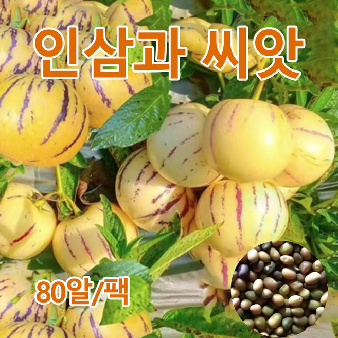 인삼과 씨앗 우유향 황금 페피노 멜론 씨앗 황금 페피노 해피노멜론 씨앗 과일씨앗, 80개
