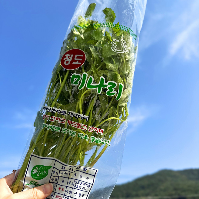 [100% 청도미나리] 청도 한재 미나리 특품만 엄선해서 보내드려요, 1개, 200g