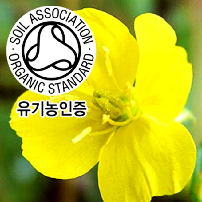 허브야 닷컴 유기농 달맞이꽃종자유-프리미엄 등급(정제-냉압착) 50ml, 100ml, 1개