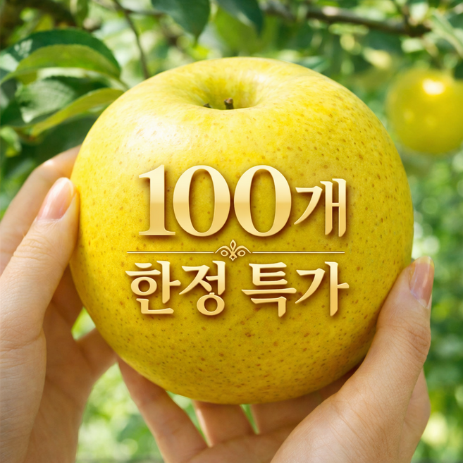 [초초특가] 황금빛 시나노골드 황금사과 산지직송, 1박스, 2kg