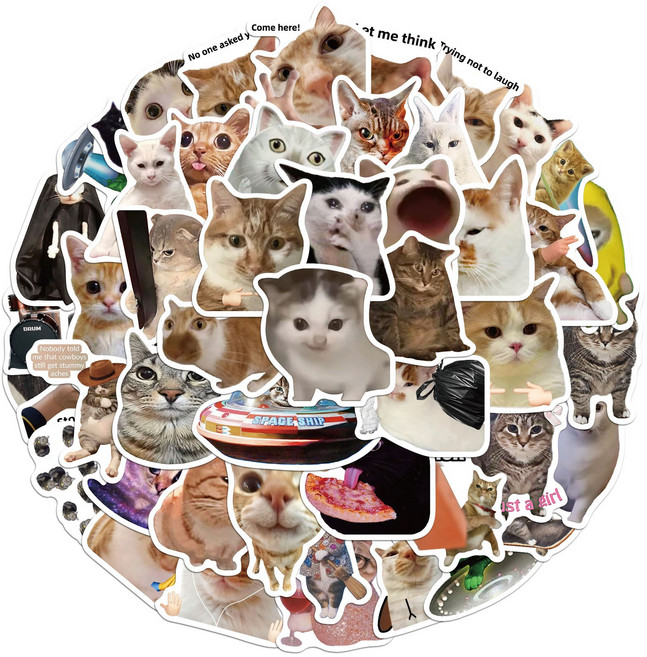 해피캣 고양이 밈 스티커 50개, 1개
