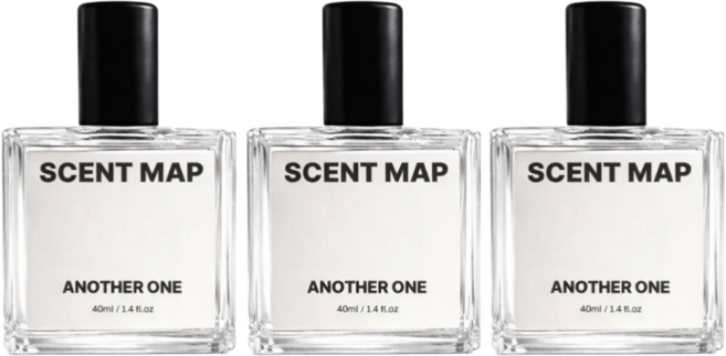 성수동 살냄새 향수 어나더원, 3개, 40ml