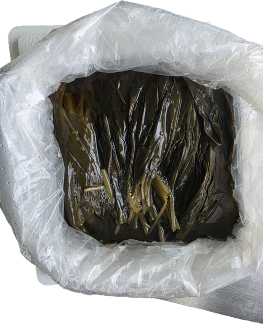 동북산명이나물 업소용 10kg 다미향 공장직송, 1개