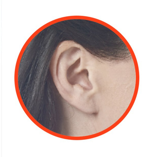 스타키보청기 제네시스AI 16 IIC NW 안보이는초소형보청기 인공지능보청기, 1개