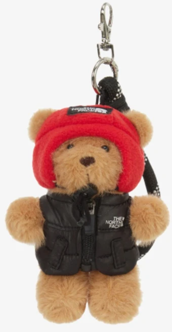 THE NORTH FACE NA5AR60A 눕시 베스트 베어 키링 BLACK 287803 - 쿠팡