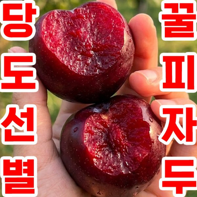 8위 - [꿀brix피자두] 초고당도 피자두 자두 제철 국내산, 1박스, 1kg