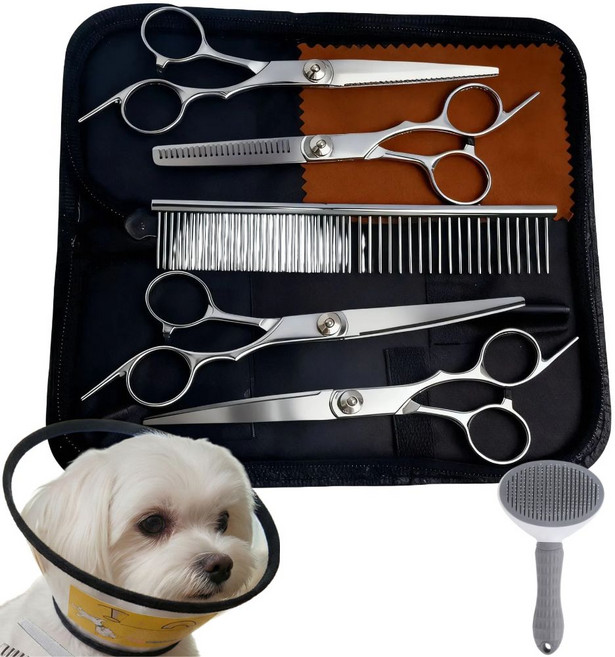 브라이프 안심 올인원 애견 미용가위 세트, 1세트, 미용가위세트 + 애견 목칼라 + 애견 털브러쉬