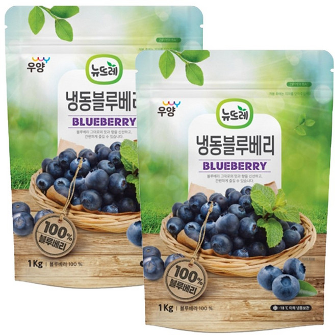 뉴뜨레 냉동블루베리 1kg 미국산, 2개