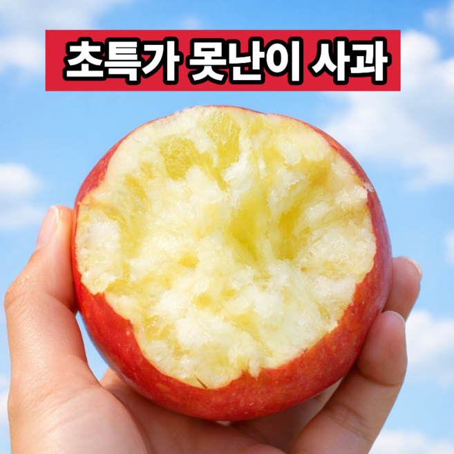 [한정수량] 못난이 주스용사과 부사사과 초특가, 1세트, 10kg 랜덤과