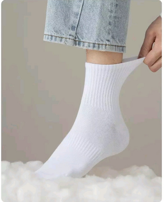 인따르시아 남성 무지단목양말 10켤레 백색 검정 회색 사계절 기본양말 학생양말