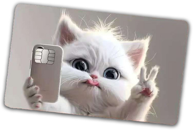 털보몰 브이 메롱 귀여운 고양이 카드 스티커, 1개