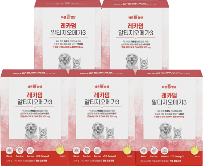 바른뉴트리펫 레카덤 알티지 오메가3 강아지 고양이 영양제, 5개
