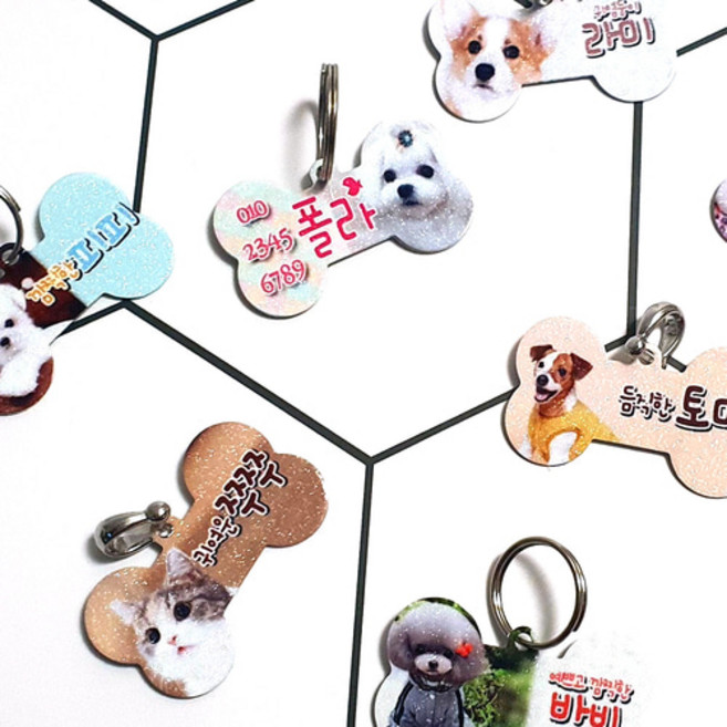 반려동물 포토 인식표 등록증 개뼈 원형 반려견 외장칩 사진인화 미아방지 목줄 이름표, 인식표(개뼈모양), 06.딥블루씨, 투링, 1개