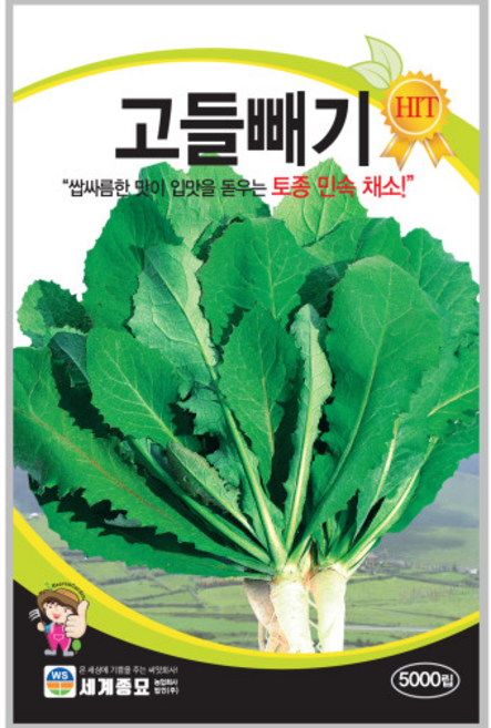 고들빼기 5000립 세계종묘 고들빼기씨앗, 1개