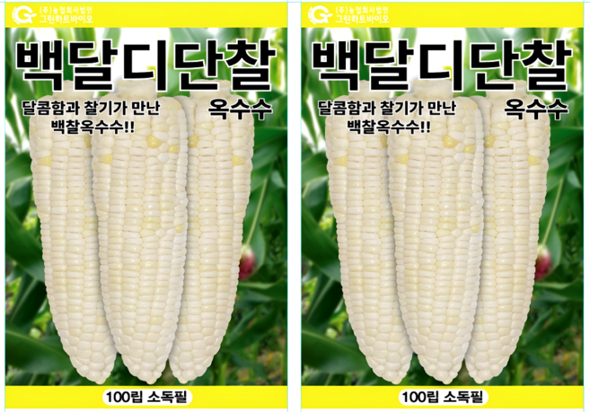 농사친구 백달디단 찰옥수수 100립 씨앗 종자, 2개