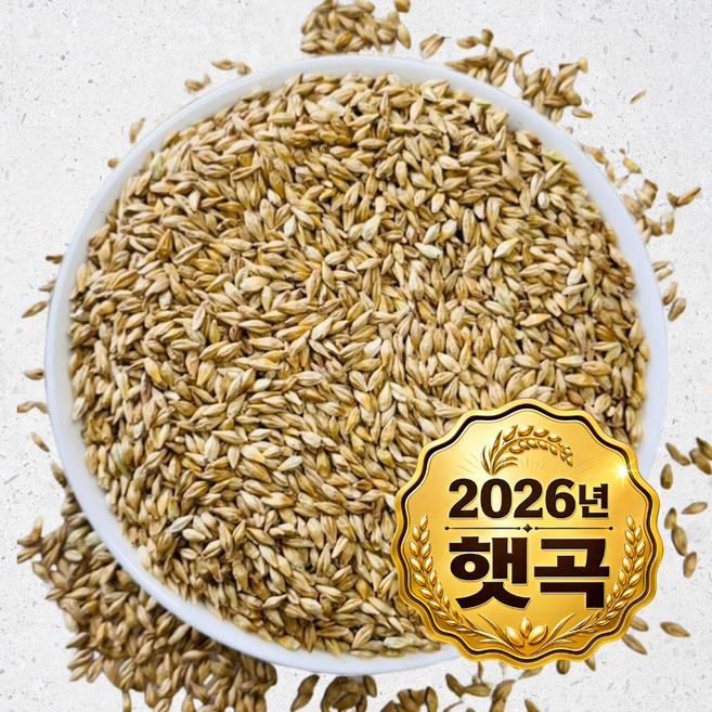 영원농산 26년산 국산 겉보리 엿질금 새싹보리, 1kg, 1개
