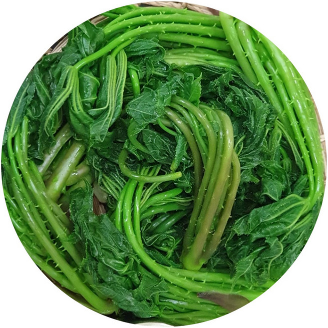 왕언니 국산100% 농가수제 데친 엄나무두릅, 250g, 1개