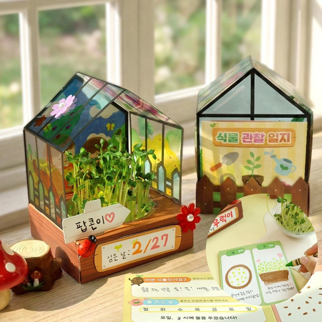 새싹 키우기 식물일지 포함 5세트 식물키우기 화분재배키트 식물 관찰키트 봄만들기 식목일 생태전환교육, 1개, 새싹 키우기 5set (+식물일지 포함)