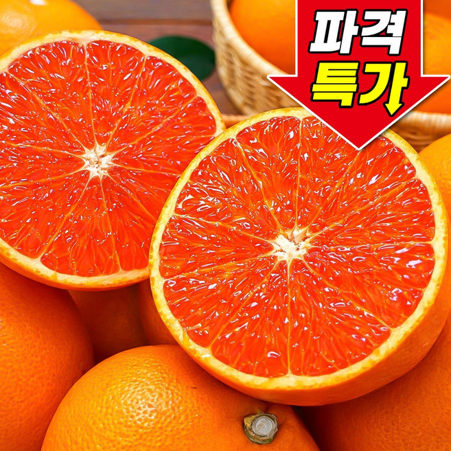 [꿀팜즈] 카라카라 오렌지 상큼꿀맛 초고당도, 1박스, 20과