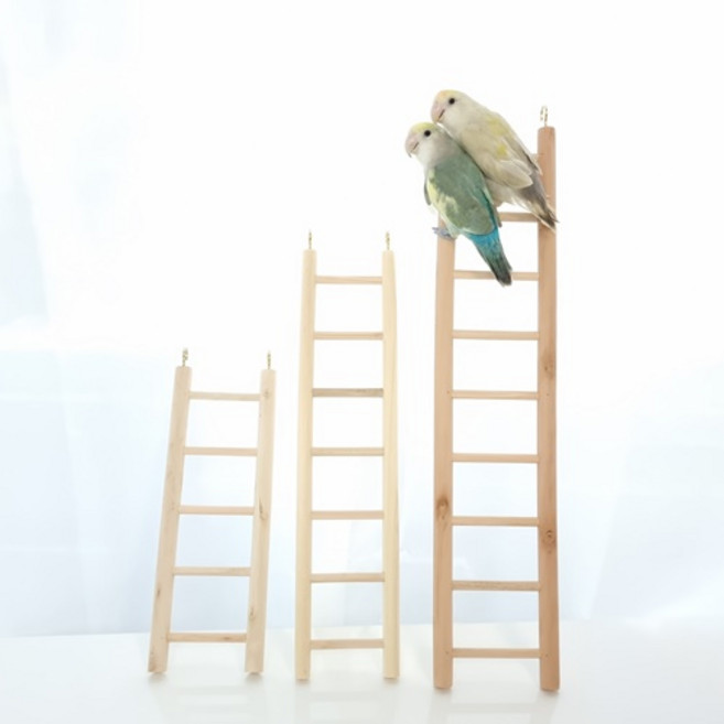 앵파크 앵무새 나무 사다리 3종 세트 새장 필수 용품