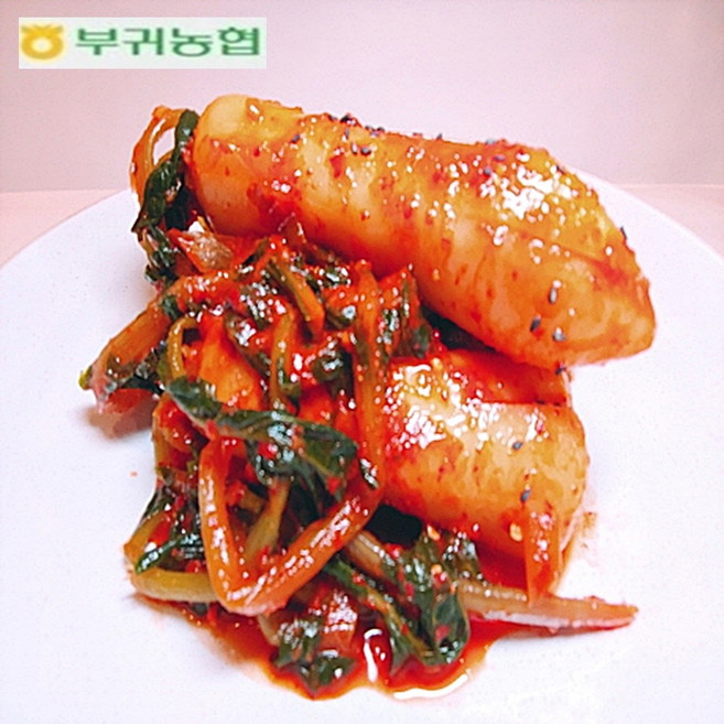 한국농협김치 부귀농협 마이산김치 총각김치 2kg 3kg 국내산100%재료 [명품김치], 1개