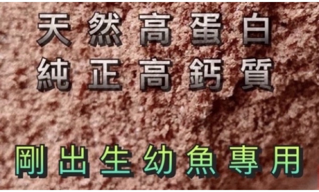 小型魚飼料 無殼豐年蝦卵 脫殼豐年蝦卵 孔雀魚飼料 磚魚飼料 鬥魚飼料 燈魚 幼魚飼料, 1個, 高鈣鉤蝦粉/全浮性（剛出生幼魚專用）50公克, 50g