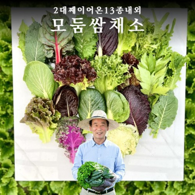 최대 13종류 모둠 쌈채소 1kg 600g, 쌈채소600g, 1개