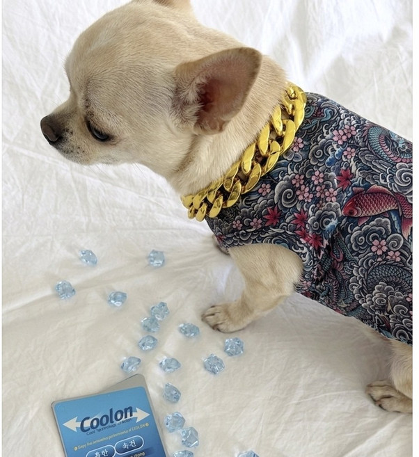 아딸링 강아지 쿨 타투티셔츠 여름 쿨링티 문신옷, 1개, 믹스