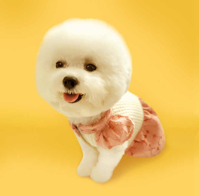 뉴욕투밀라노 강아지 겨울 설날 한복, 1개