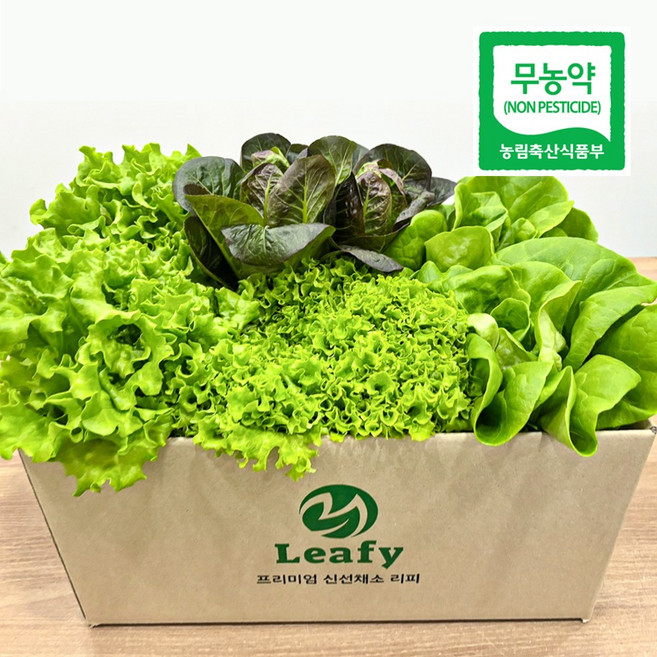 당일수확 산지직송 유럽 상추 3~8종 세트 무농약 프리미엄 샐러드용 / 리피, 1kg, 1개