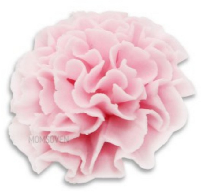 카네이션 머랭 - 분홍, 1개, 12g