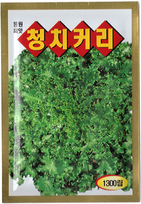 동원 청치커리 씨앗 1300립, 1개