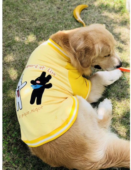 福媽寵物 狗狗親子裝 秋冬棉T 科基柴犬中大型犬適用, 1個, 黃色9號 胸圍86背長56 微瑕疵